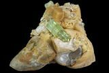 Yellow Apatite Crystal on Calcite - Morocco #84321-2